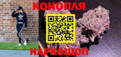 прущие грибы Гагарин