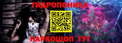 герыч Гатчина