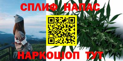 прущие грибы Гагарин