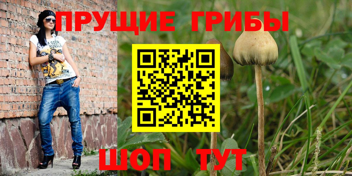 цены наркотик  Вход с VPN  Новочебоксарск  Галлюциногенные грибы GOLDEN TEACHER 