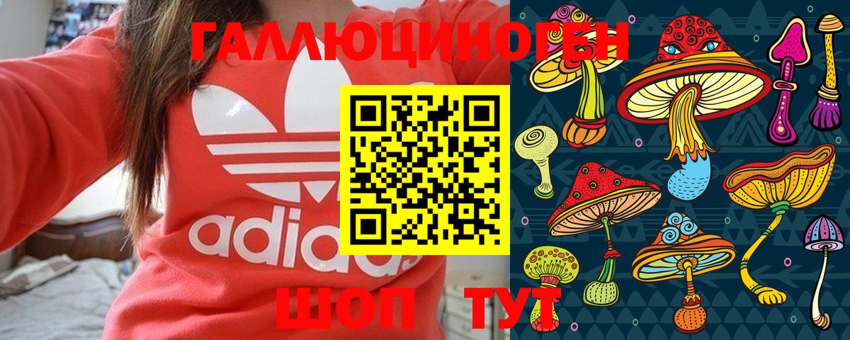 Псилоцибиновые грибы мицелий Новочебоксарск